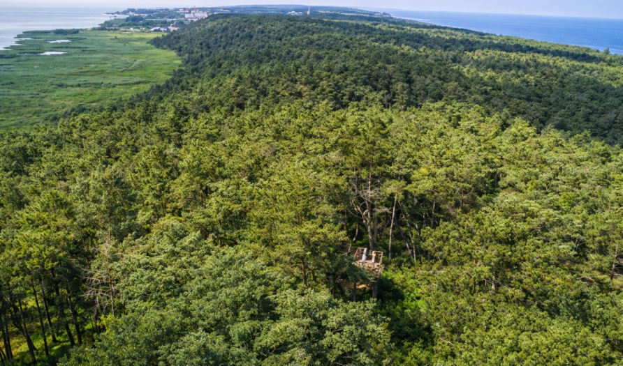 Wielbłądzi Garb – najwyższa wydma